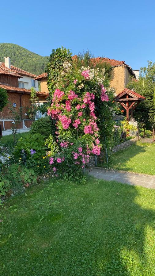 Guest House Simona Sapareva Banja Exteriör bild